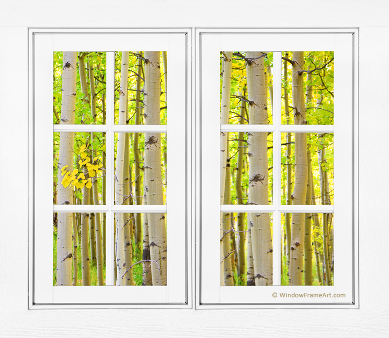 Aspen Forest White Picture Window Frame View