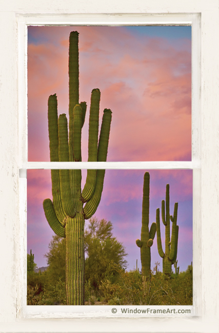 Southwest Desert Colorful Distressed Window View Art